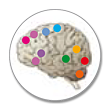 Master en Psicobiología y Neurociencia Cognitiva